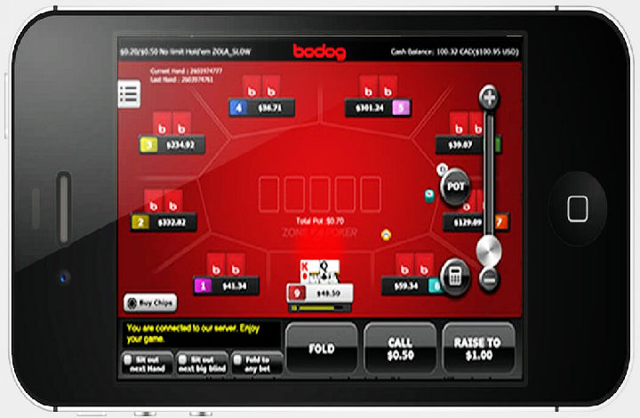 Bodog cricket betting apps