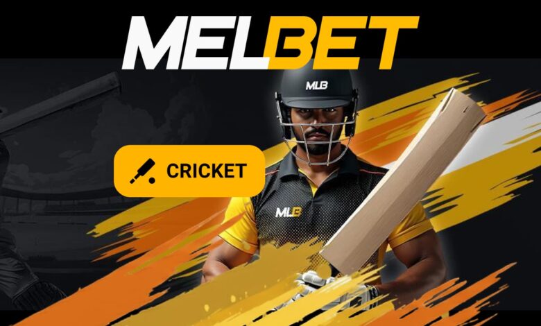 Cricket betting on Melbet.
